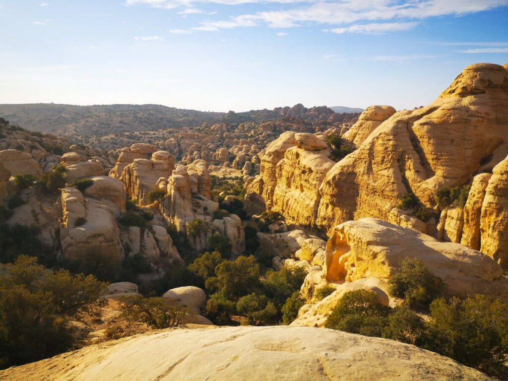 Airport to Dana Biosphere Reserve