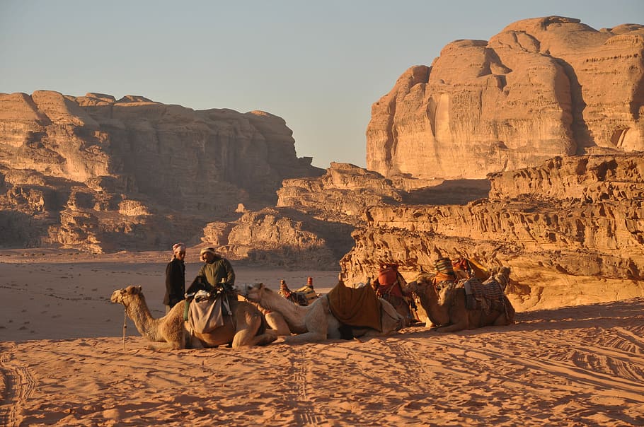 Wadi Rum with Camel 2